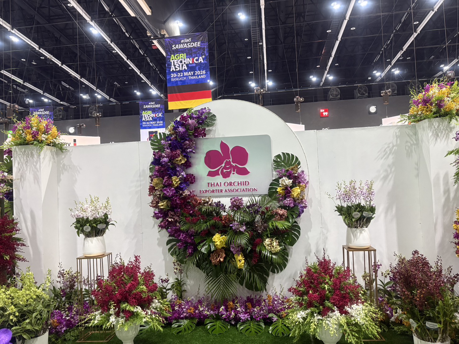 สมาคมผู้ส่งออกดอกกล้วยไม้ไทย ร่วมโชว์ศักยภาพ “กล้วยไม้ไทย” ในงาน HortEx Thailand 2026